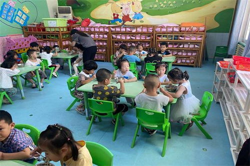 入园第一天,成长一大步 嵩阳西关幼儿园开学第一天
