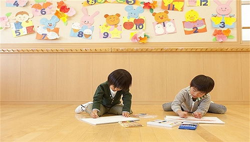 民办幼儿园乱象调查 高端园盲目融资与托管机构无证经营的隐患